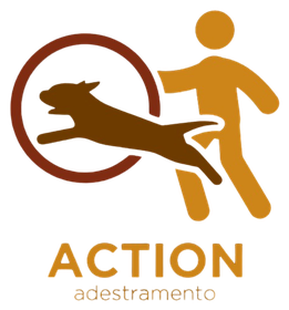 Action
